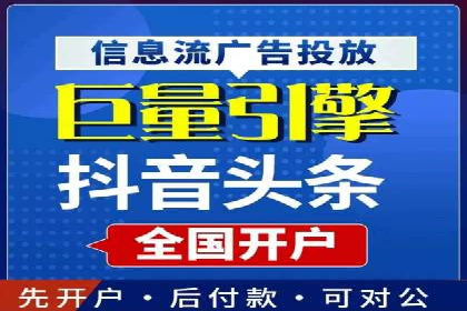 抖音信息流代理服务在旅游行业的应用实例