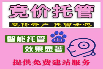 搜索引擎营销（SEM）的账户结构优化——以一则经典案例为教学